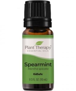 Kruizemunt/Groene munt (Spearmint) - 10ml