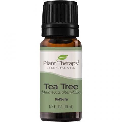 Tea Tree (Tea tree) - 10ml