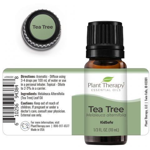 Tea Tree (Tea tree) - 10ml - Afbeelding 2