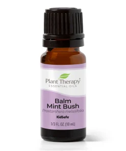 Balsem-Munt (Balm Mint Bush) - 10 ml.