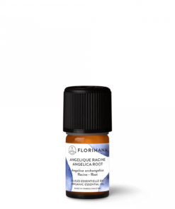 Engelwortel (Angelica Root) biologisch - 2 gr.